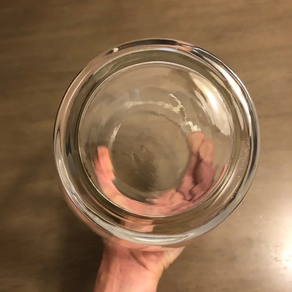 Elegant Clear Glass Flower Vase